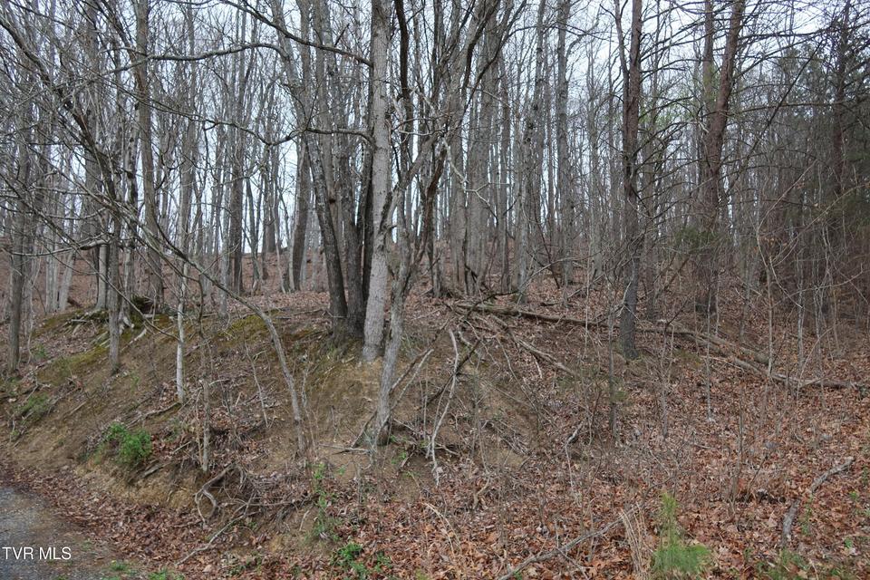 Photo #8: Tbd Possum Hollow Road