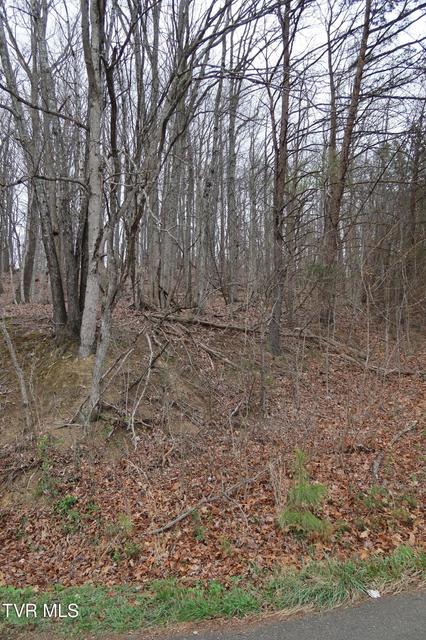Photo #5: Tbd Possum Hollow Road