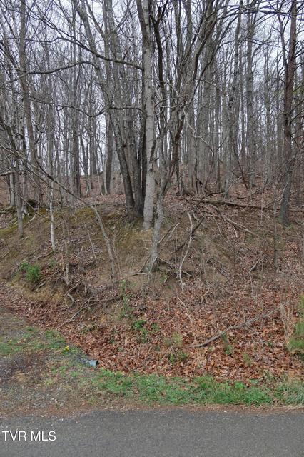 Photo #7: Tbd Possum Hollow Road