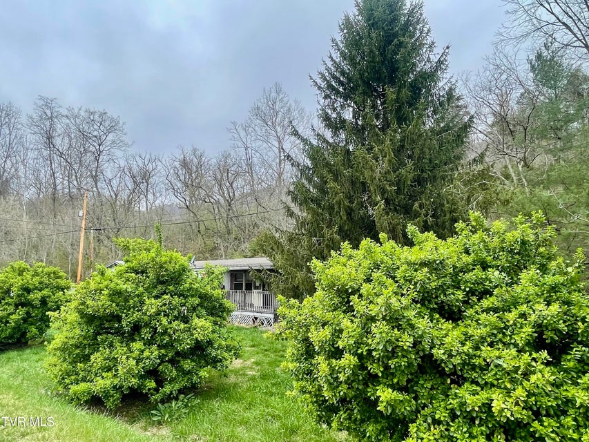 Photo #18: 6060 Daniel Boone Road