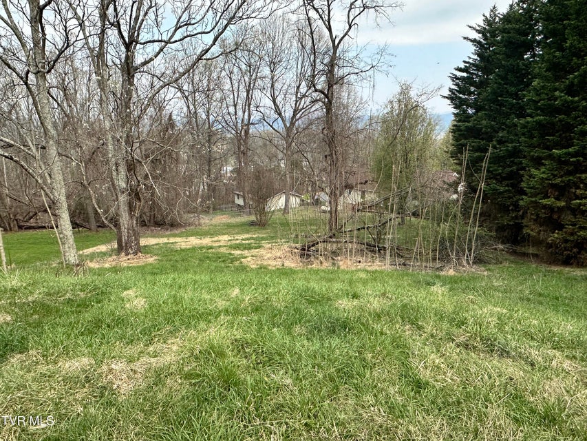 Photo #34: 4624 Woodcliff Drive