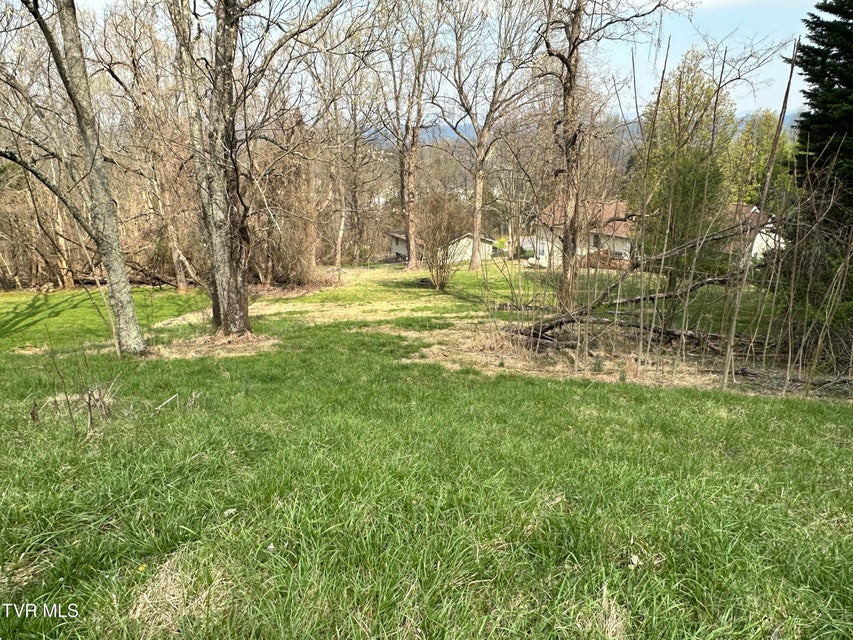 Photo #35: 4624 Woodcliff Drive