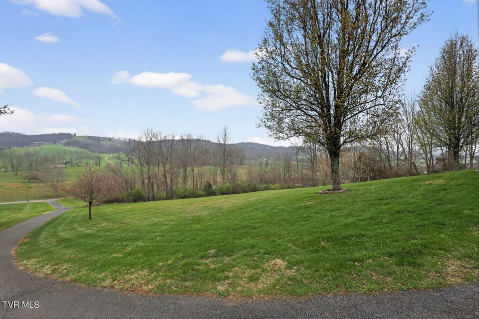 Photo #38: 12138 Dettor Road