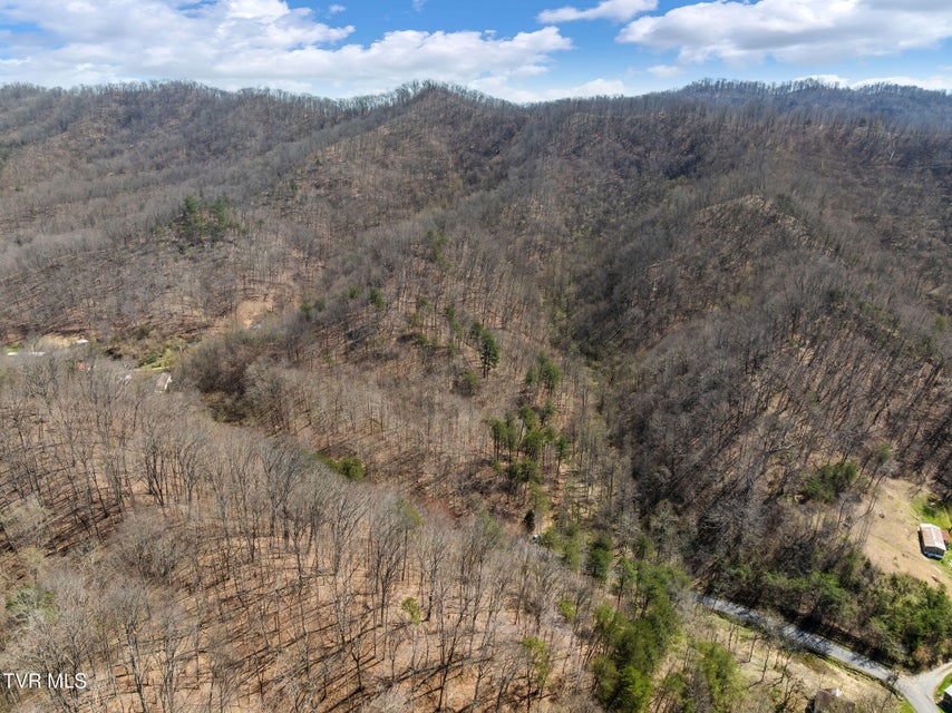 Photo #4: Tbd Light Hollow Road