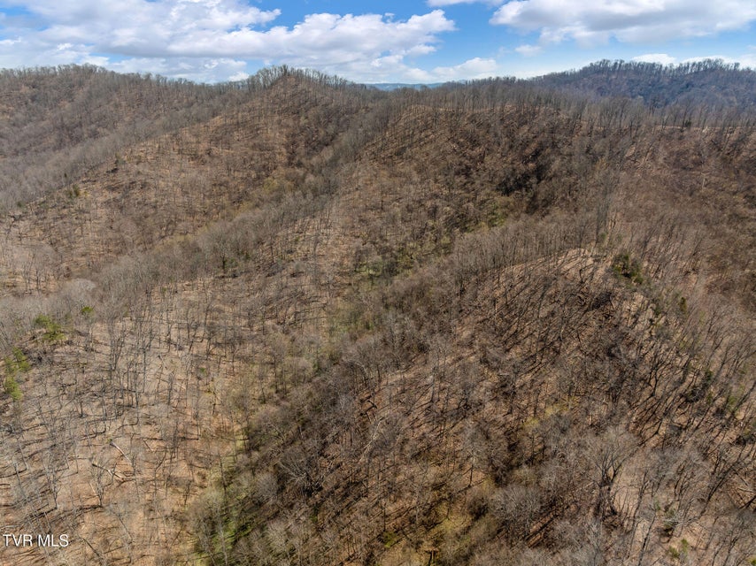 Photo #7: Tbd Light Hollow Road