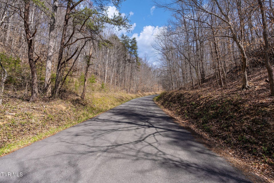 Photo #34: Tbd Light Hollow Road