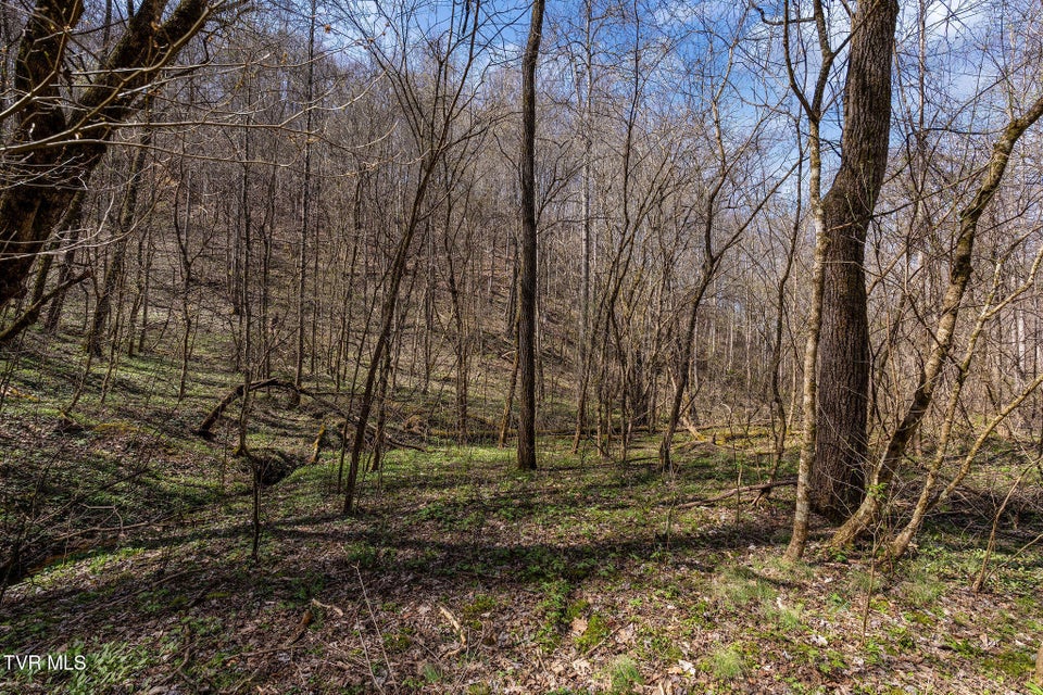 Photo #10: Tbd Light Hollow Road