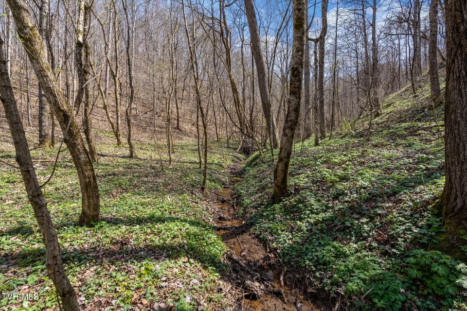 Photo #11: Tbd Light Hollow Road