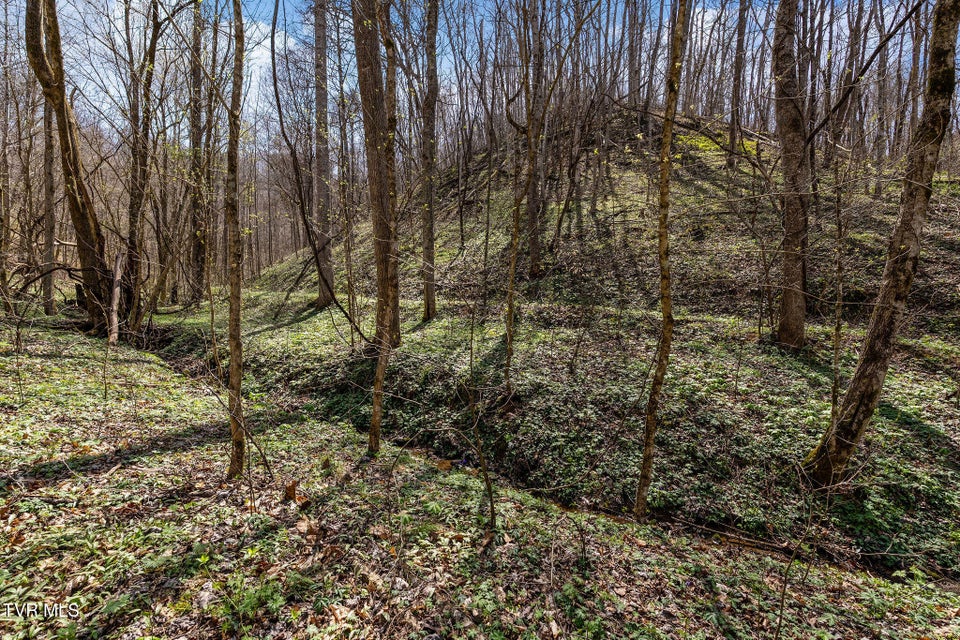 Photo #12: Tbd Light Hollow Road