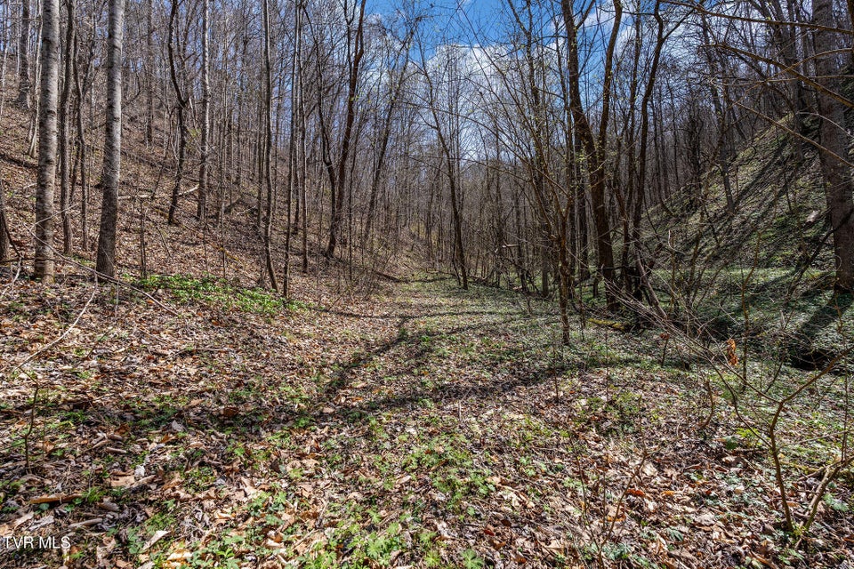 Photo #13: Tbd Light Hollow Road