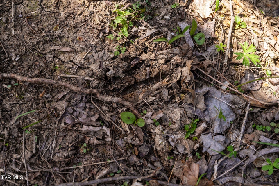 Photo #14: Tbd Light Hollow Road