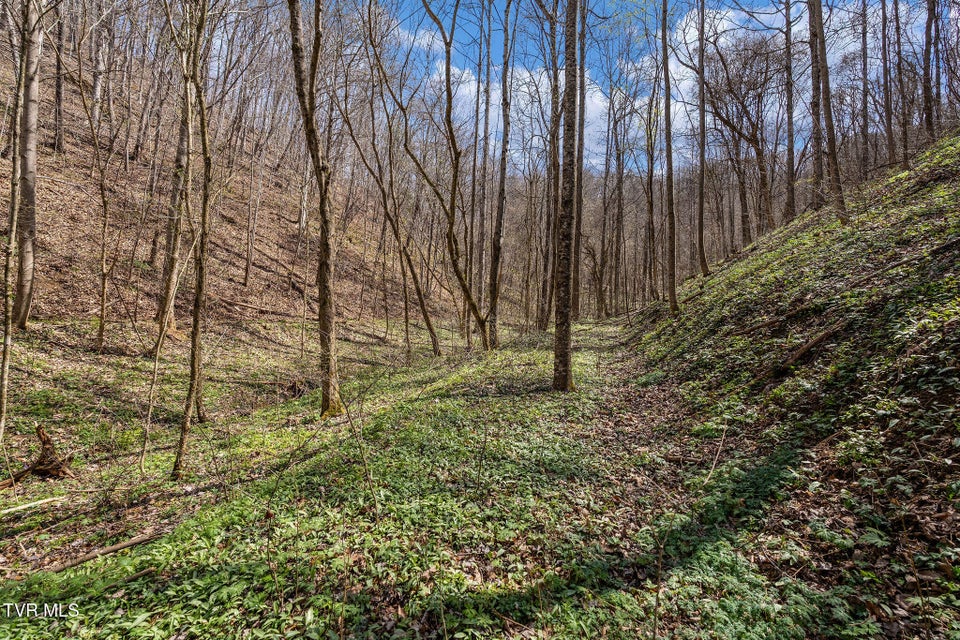 Photo #15: Tbd Light Hollow Road