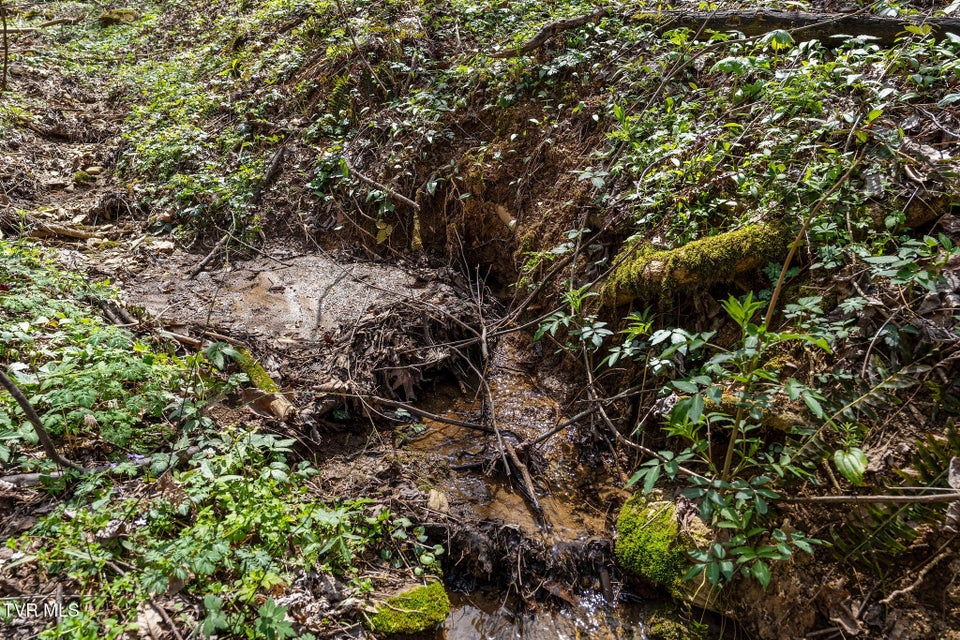 Photo #16: Tbd Light Hollow Road