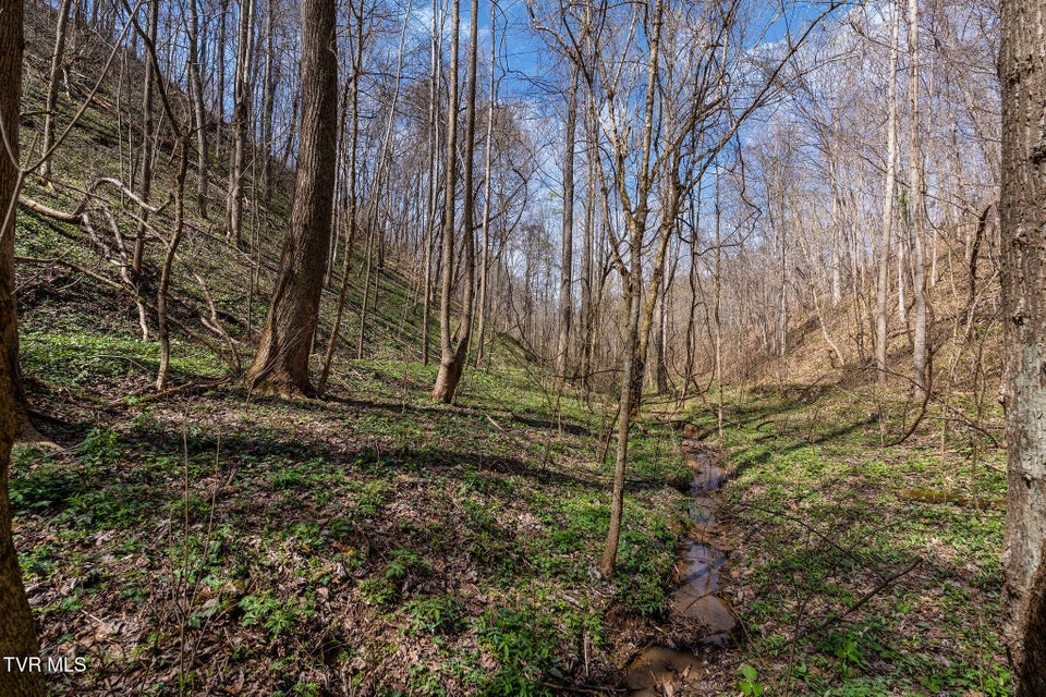 Photo #17: Tbd Light Hollow Road