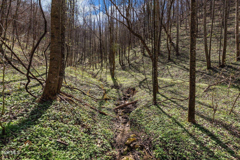 Photo #18: Tbd Light Hollow Road