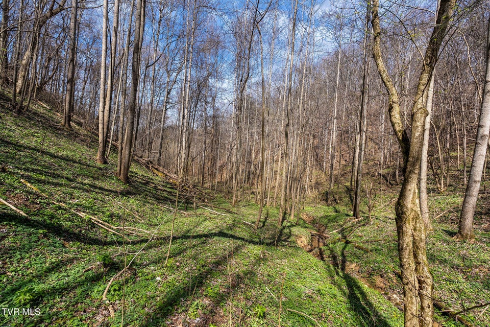 Photo #19: Tbd Light Hollow Road