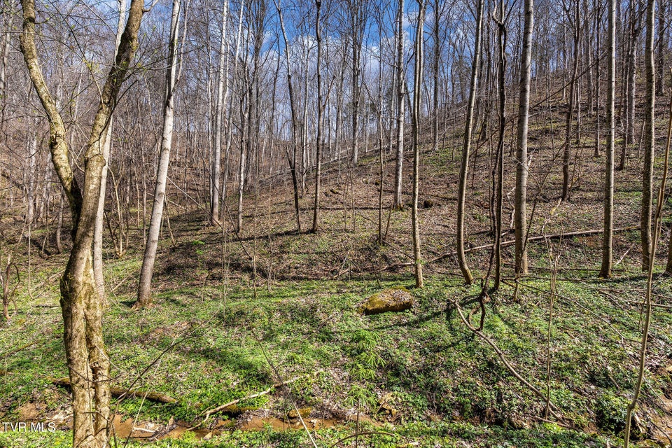 Photo #20: Tbd Light Hollow Road