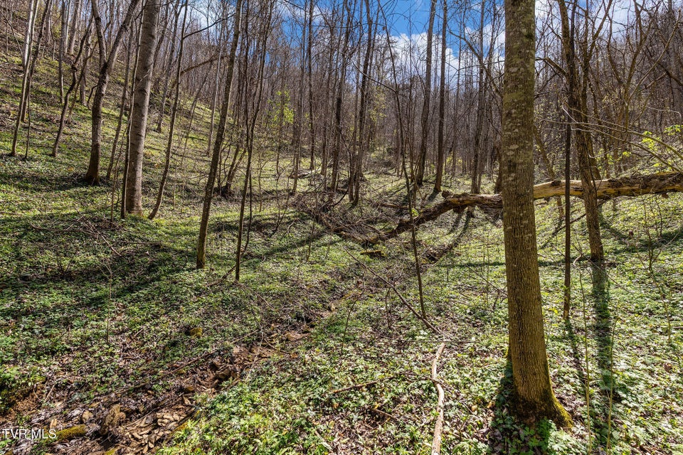 Photo #21: Tbd Light Hollow Road