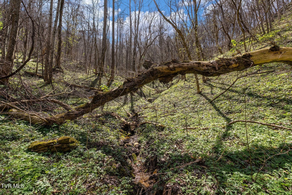 Photo #22: Tbd Light Hollow Road