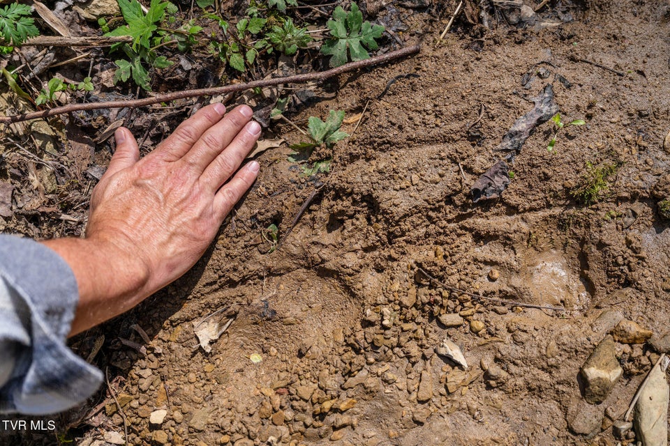 Photo #23: Tbd Light Hollow Road