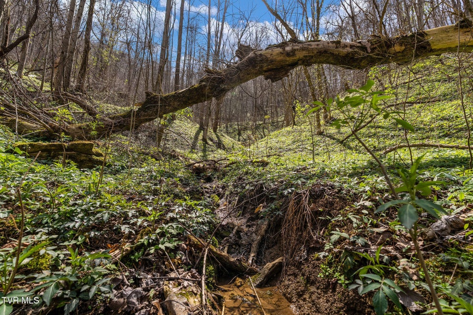 Photo #24: Tbd Light Hollow Road