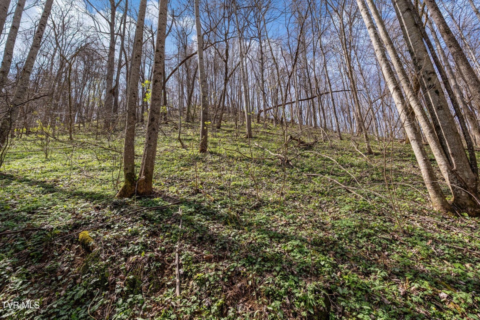 Photo #25: Tbd Light Hollow Road