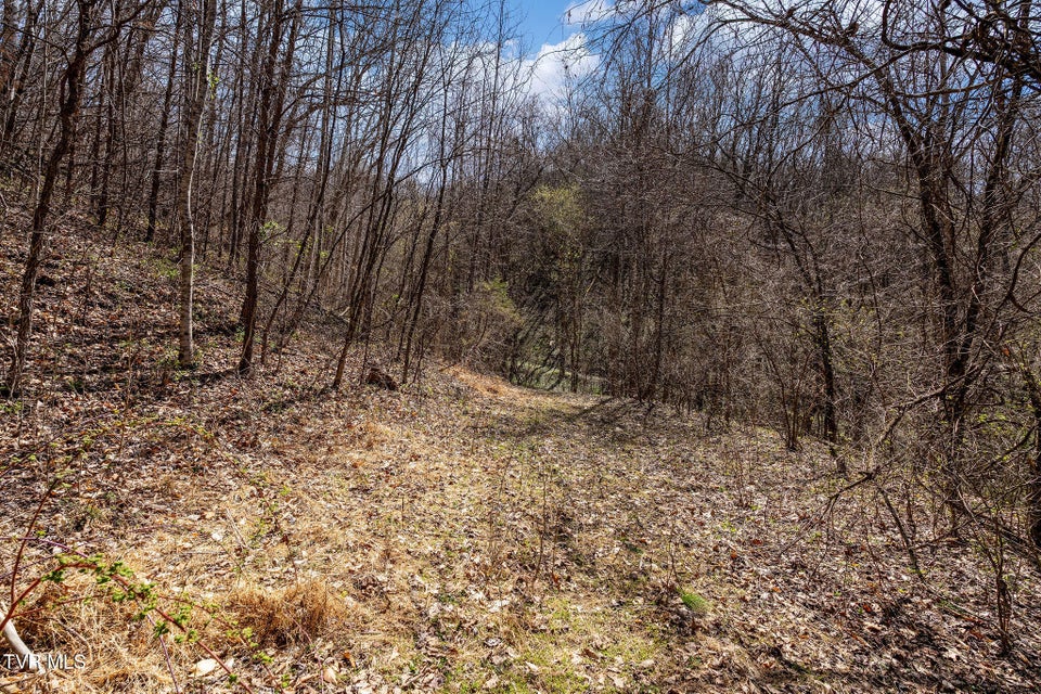 Photo #27: Tbd Light Hollow Road