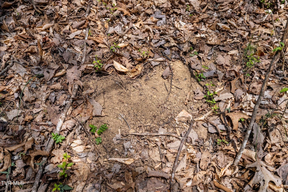 Photo #28: Tbd Light Hollow Road