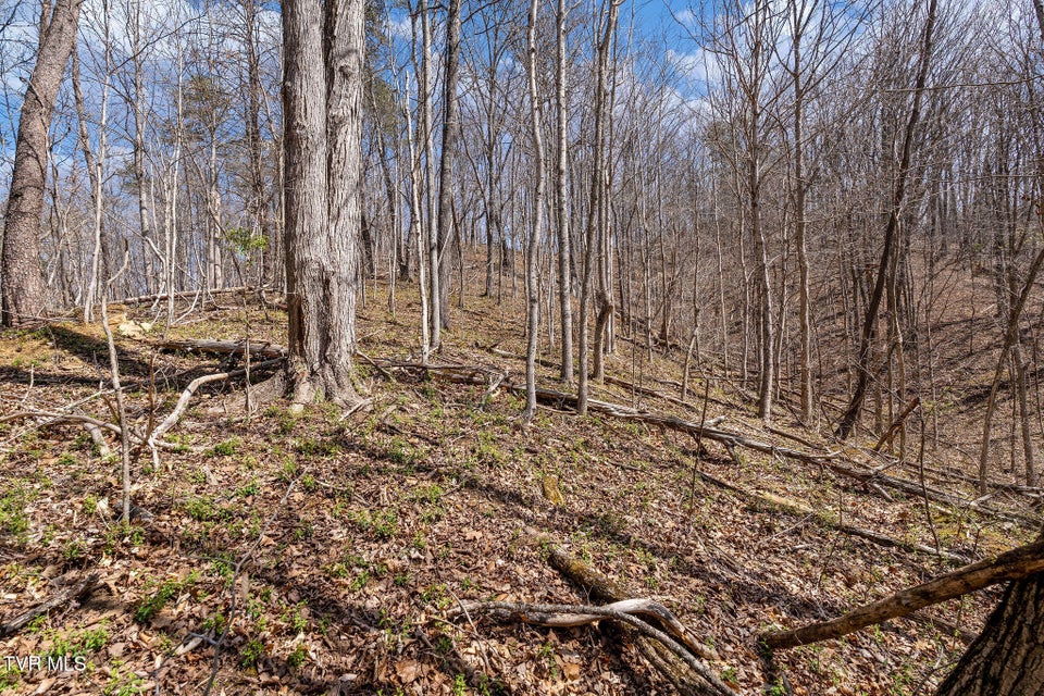 Photo #30: Tbd Light Hollow Road