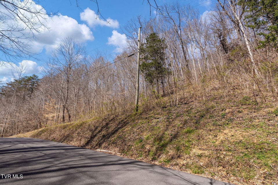 Photo #36: Tbd Light Hollow Road