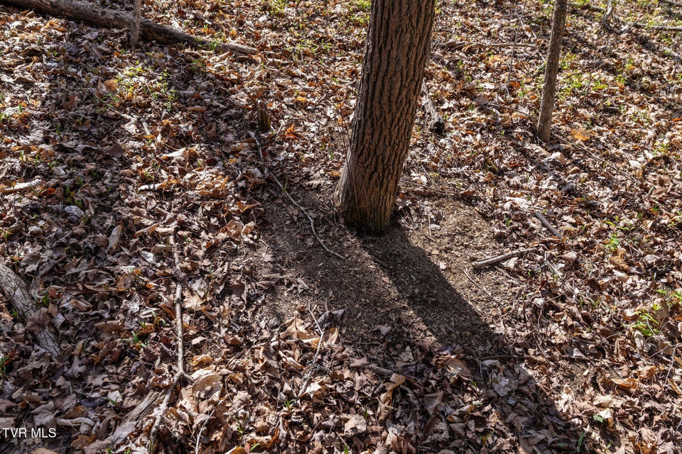 Photo #29: Tbd Light Hollow Road