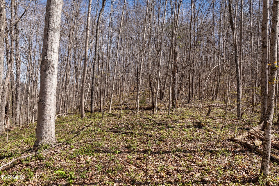 Photo #31: Tbd Light Hollow Road