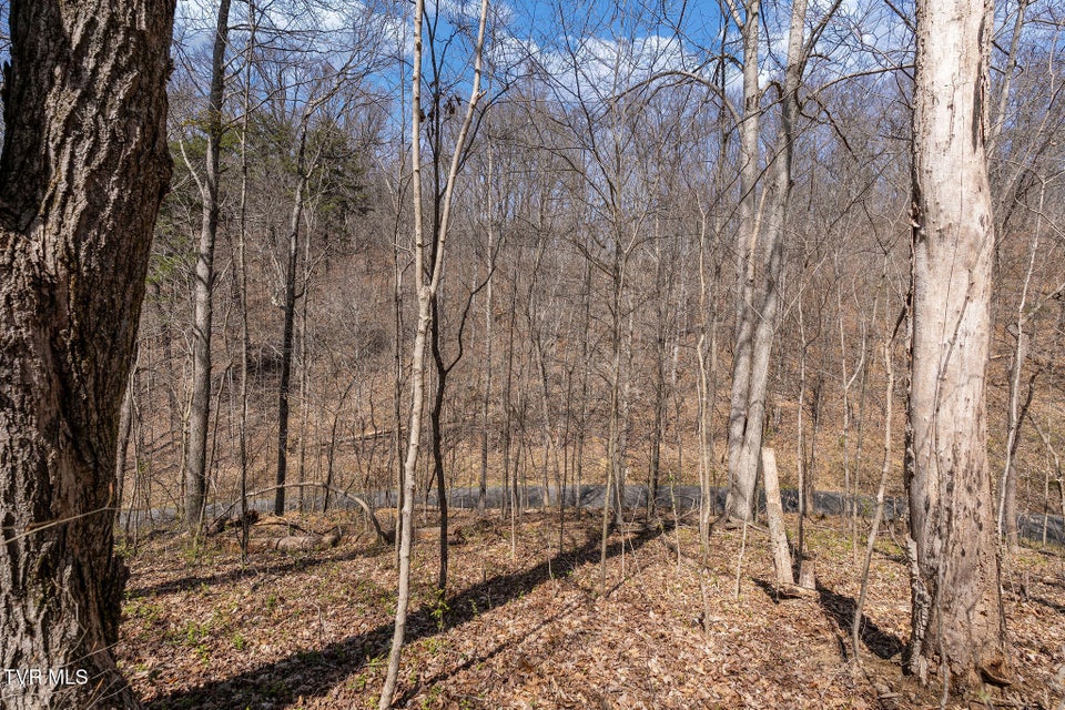 Photo #32: Tbd Light Hollow Road