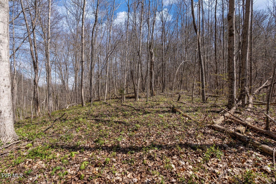 Photo #33: Tbd Light Hollow Road