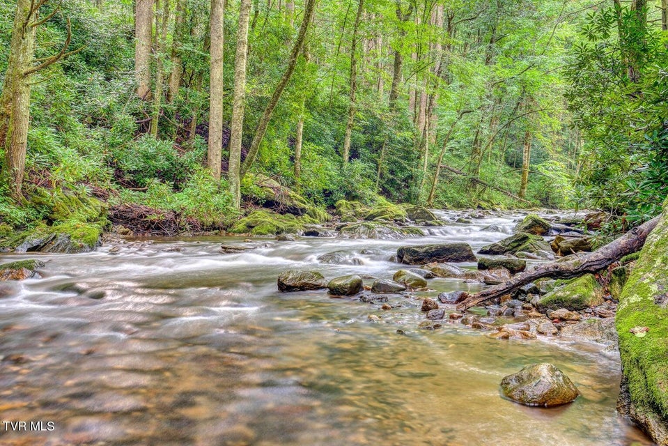 Photo #6: 206 Toms Creek Drive