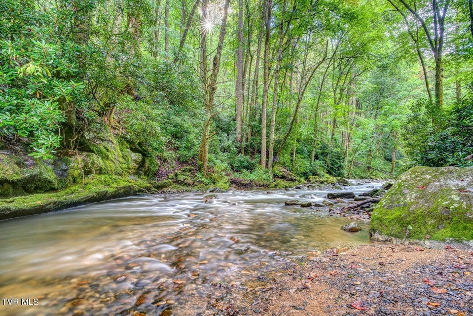 Photo #7: 206 Toms Creek Drive