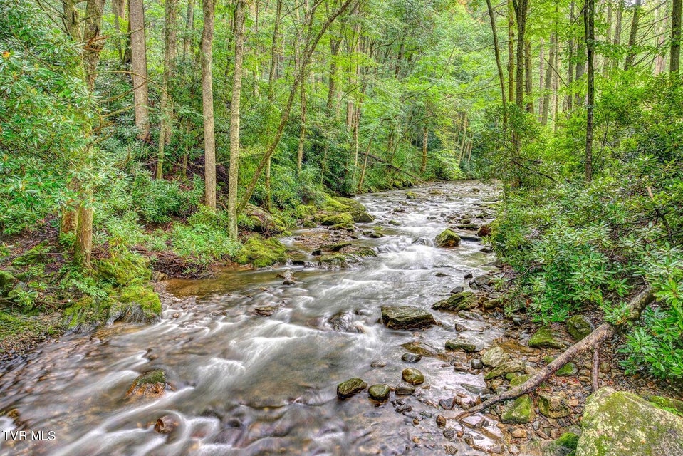 Photo #11: 206 Toms Creek Drive