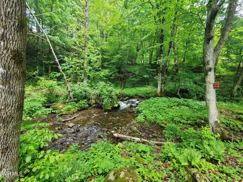 Photo #18: 206 Toms Creek Drive