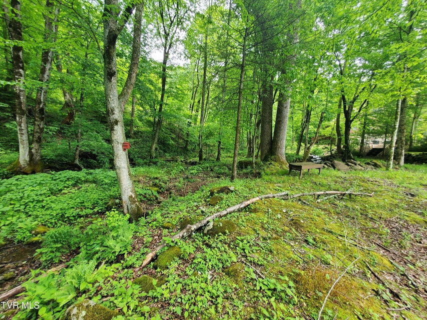 Photo #19: 206 Toms Creek Drive