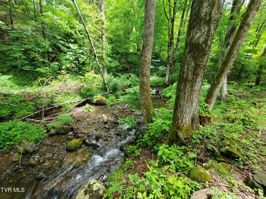 Photo #20: 206 Toms Creek Drive