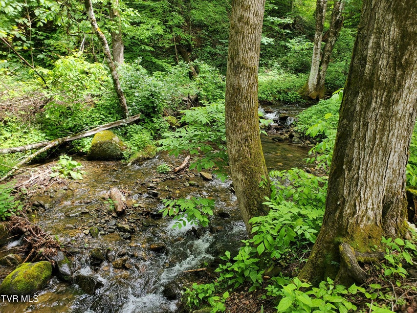 Photo #21: 206 Toms Creek Drive