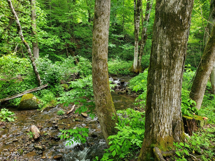 Photo #22: 206 Toms Creek Drive