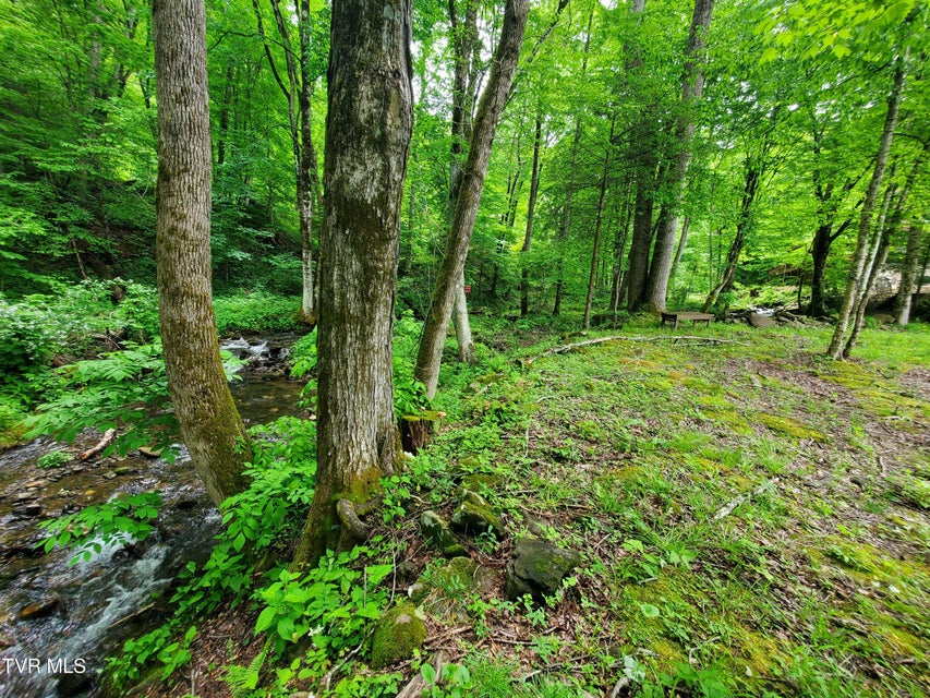 Photo #4: 206 Toms Creek Drive