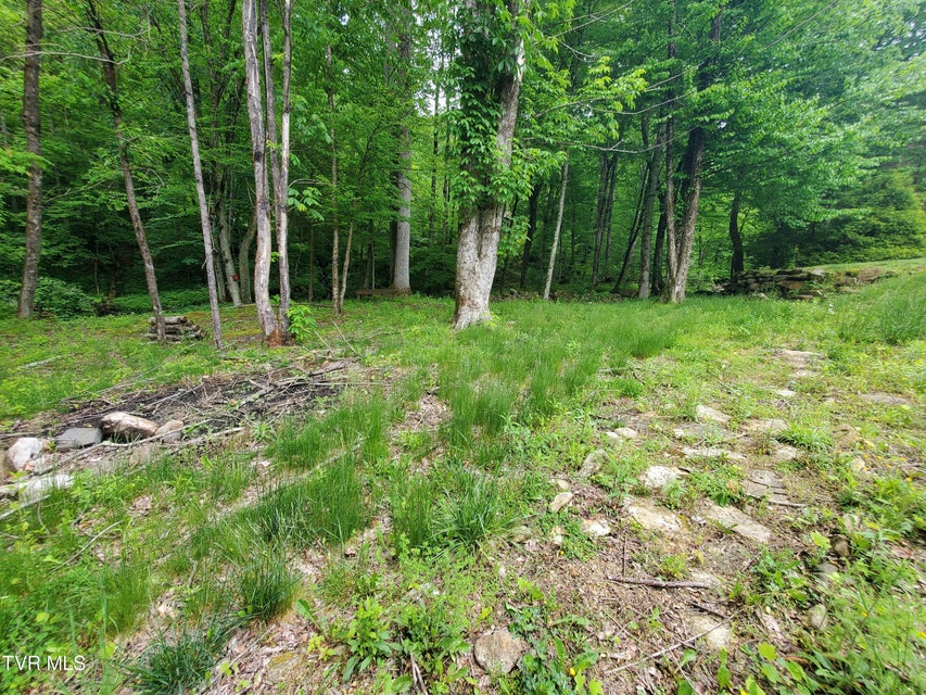 Photo #32: 206 Toms Creek Drive