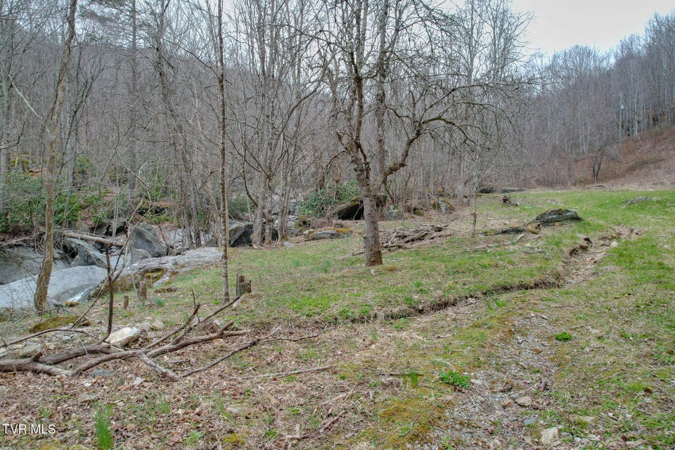 Photo #7: 1105 Briar Run Lane