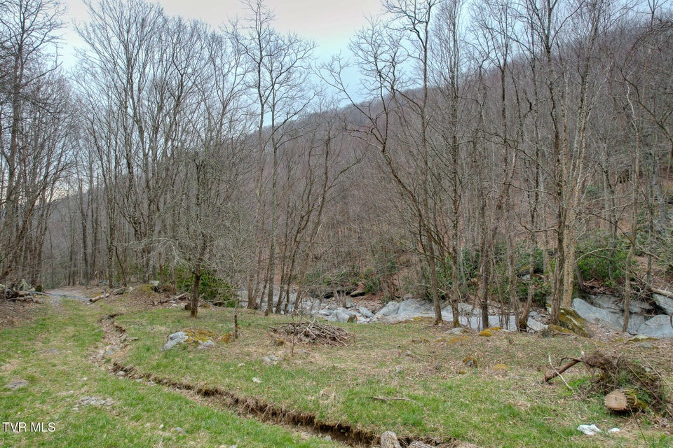 Photo #8: 1105 Briar Run Lane