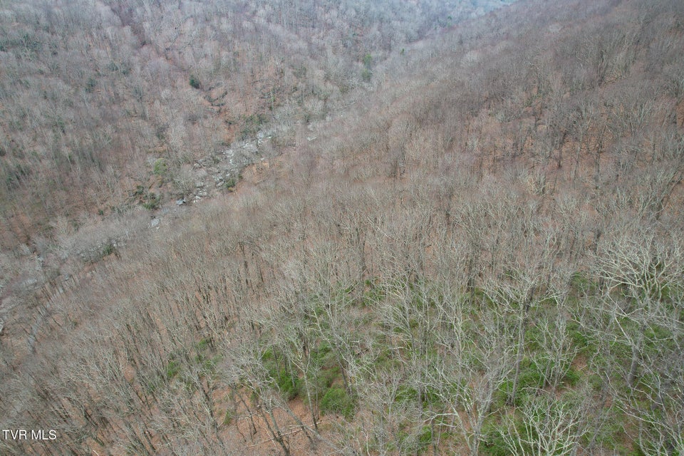 Photo #12: 1105 Briar Run Lane