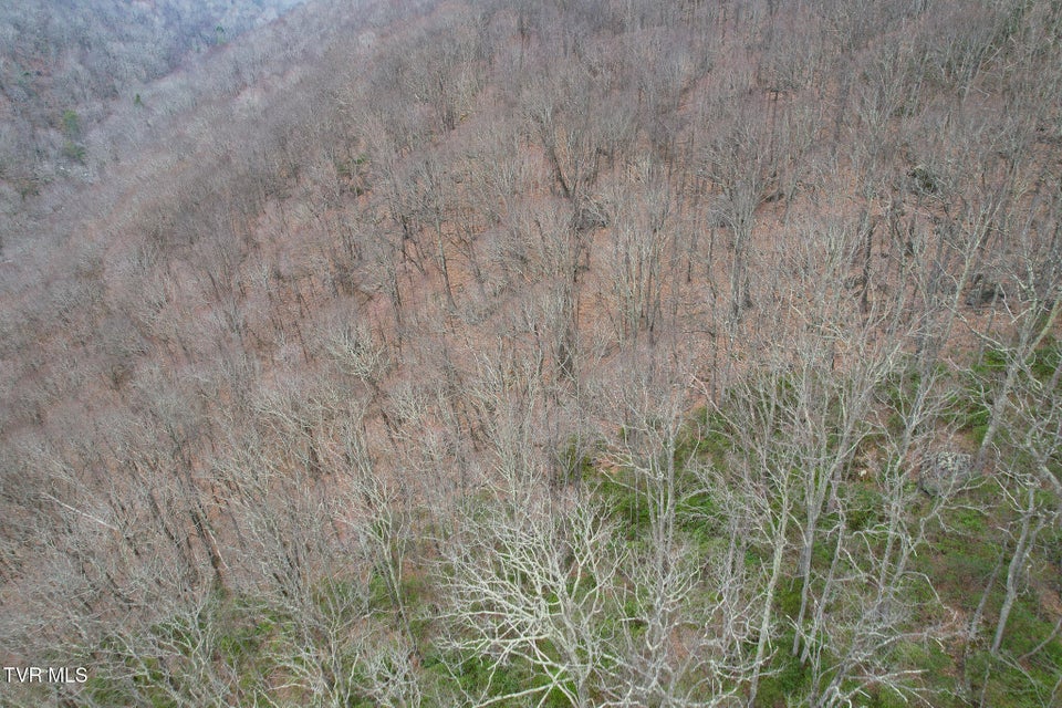 Photo #13: 1105 Briar Run Lane