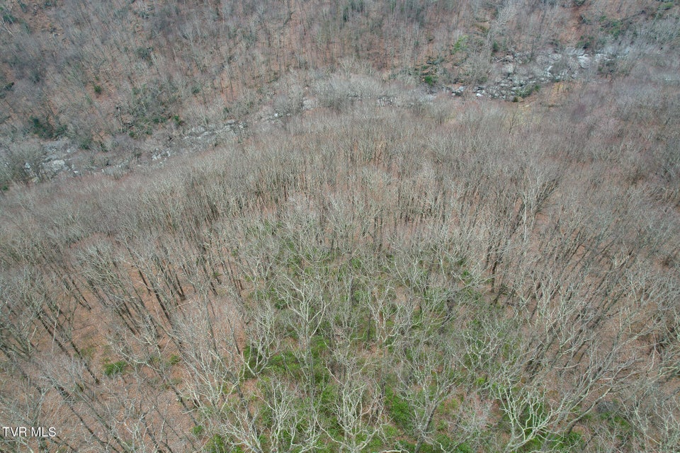 Photo #14: 1105 Briar Run Lane