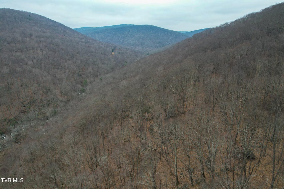 Photo #15: 1105 Briar Run Lane